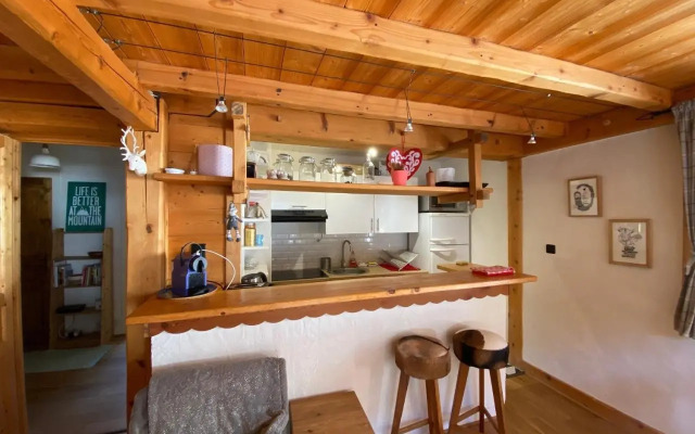 Appartement cosy au pied du MtBlanc