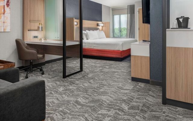 SpringHill Suites by Marriott Raleigh Apex
