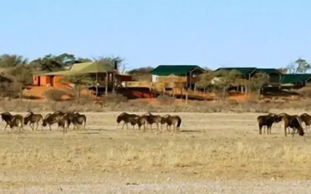Intu Africa Suricate Tented Kalahari Lodge