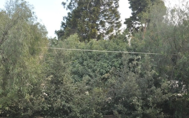 Appartamenti Villa Bellini