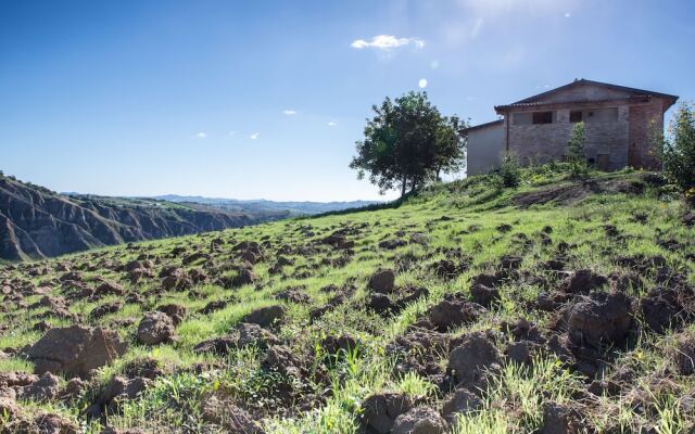 Società Agricola Zucchera S.S.