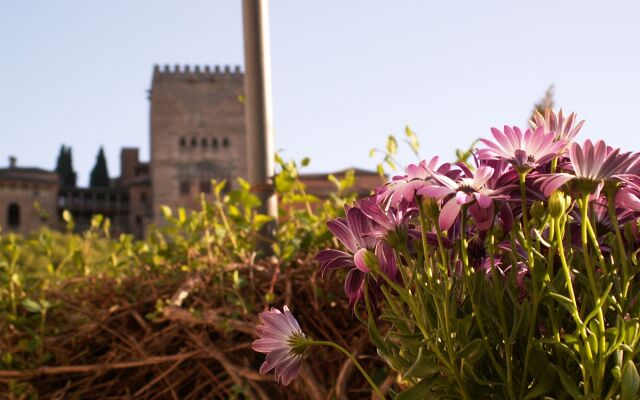 Oasis Backpackers Hostel Granada