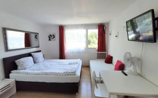 Comfortable mountain view apartment near Lucerne