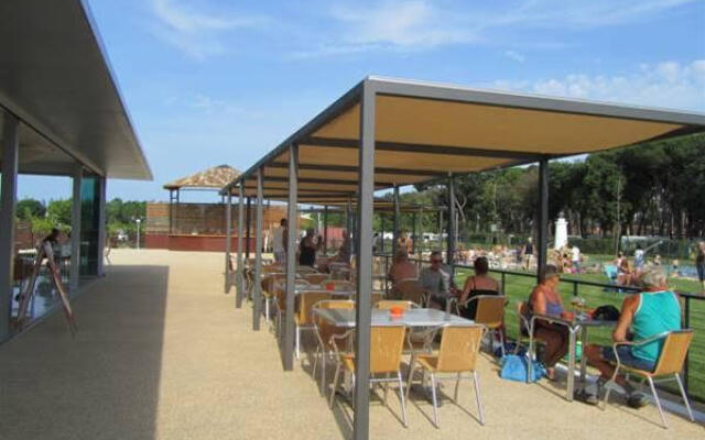 El Delfín Verde Platja d’Aro