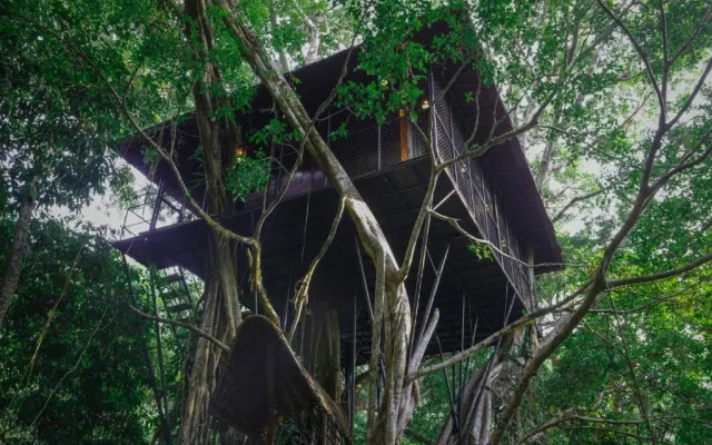 Vythiri Resort