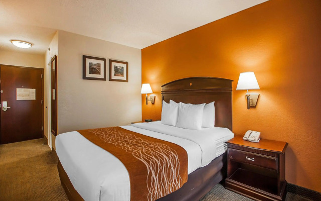 Comfort Inn & Suites Somerset - New Brunswick