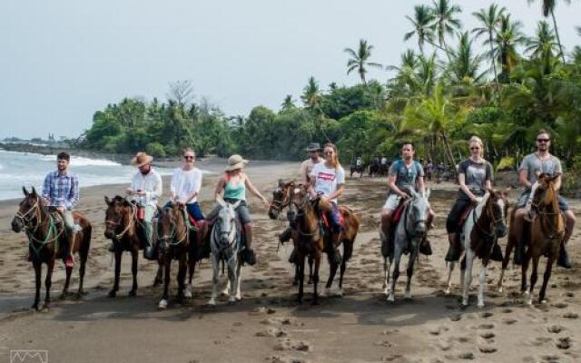 Life for Life Sea Turtle Conservation And Lodging