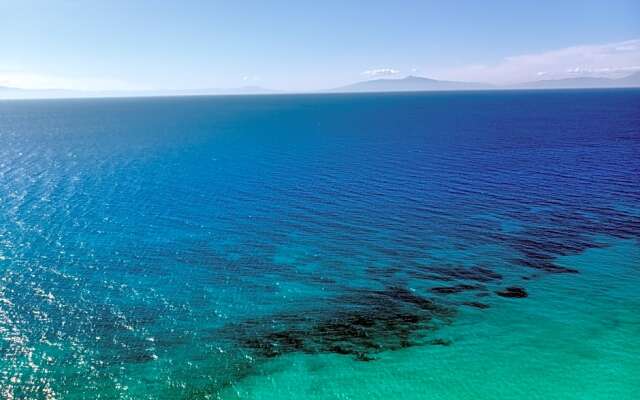 Greek Pride Evlogia Seaside