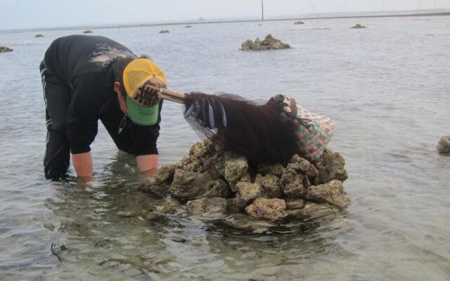 Long Beach Private Lodging