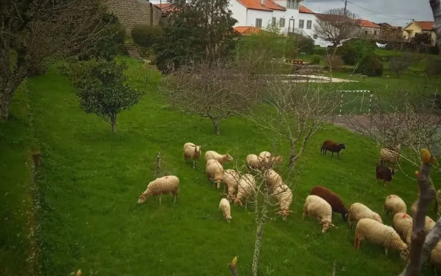 Rustic Terrace2 Bedrooms Farm House