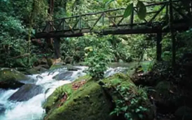 Eco Lodge