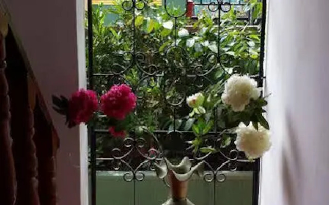 Hilda Guest House