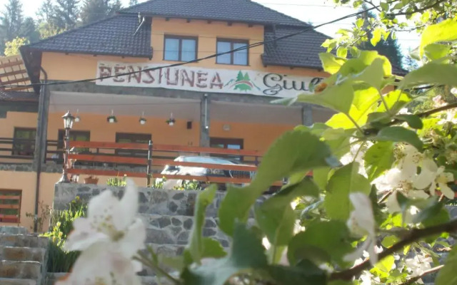 Pensiunea Giulia