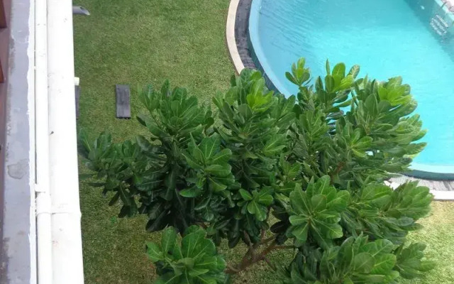 Hotel Star White Negombo