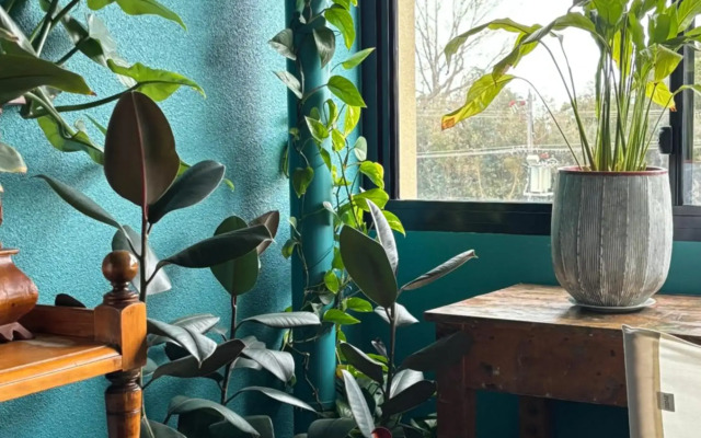 Beachside Apartment 108