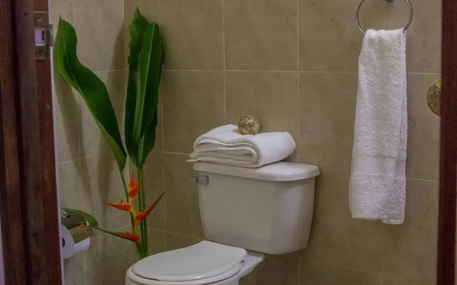 Hotel Amazon Bed & Breakfast