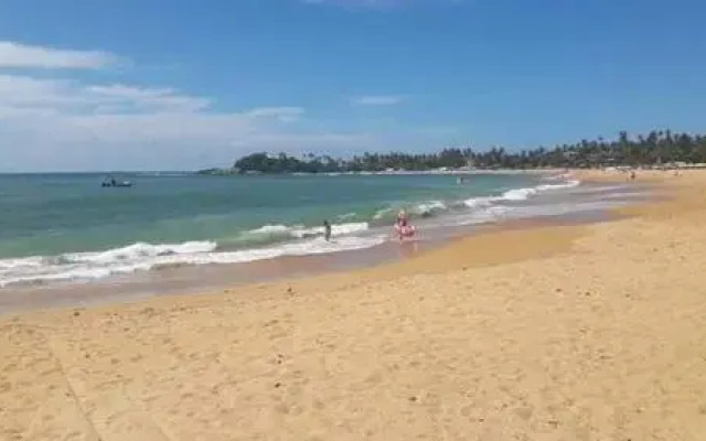 Jungle View apartment