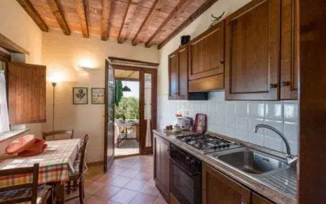 House Edera Campagnatico