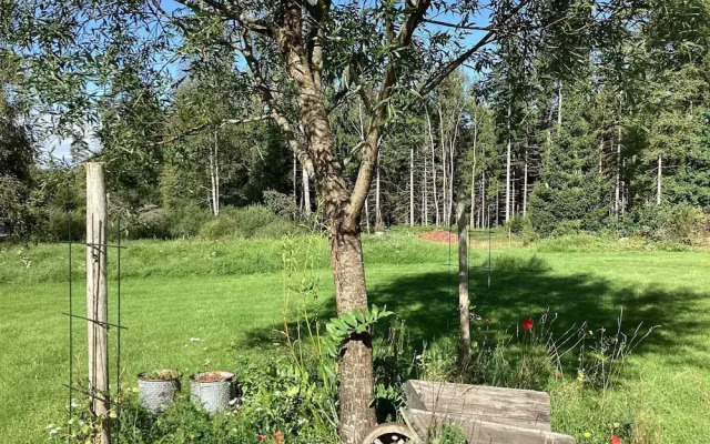 5 Person Holiday Home in Svenljunga-by Traum