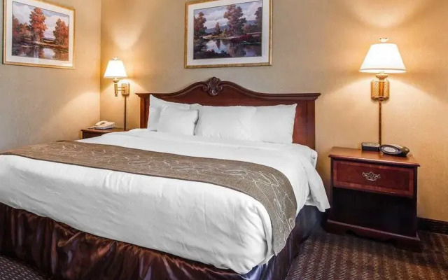 Comfort Suites Foxfire