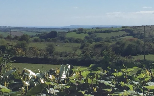 Higher Searles Down