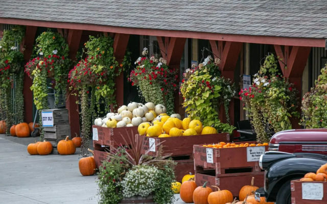 Holiday Inn Express And Suites - Vernon by IHG