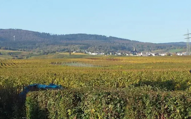 Ferienwohnung Weingut Leis