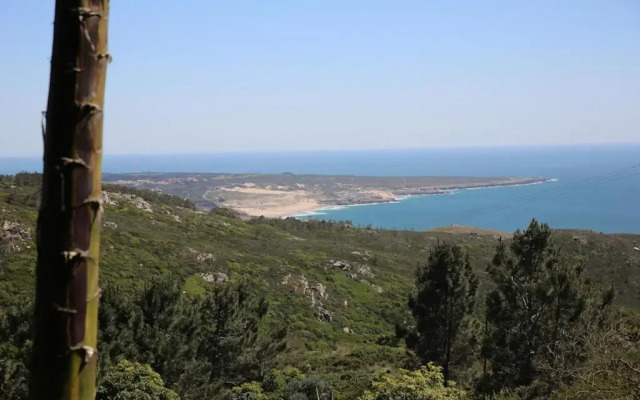 A House in The Woods