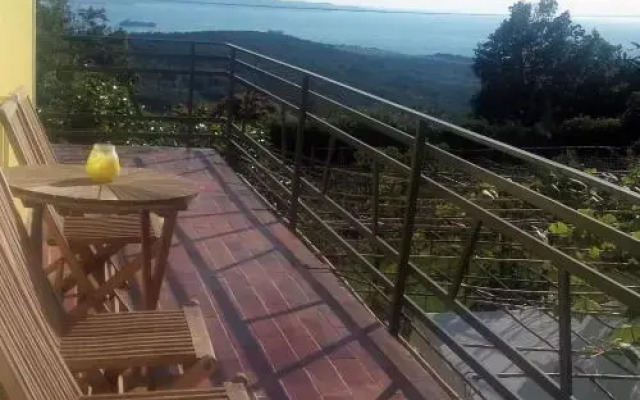 Na kmetiji s konji - Pogelšek
