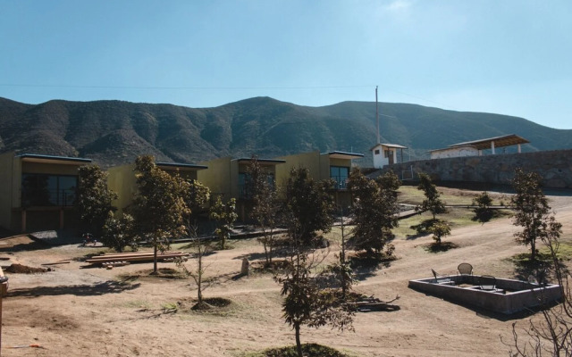 Palta 60 Valle de Guadalupe