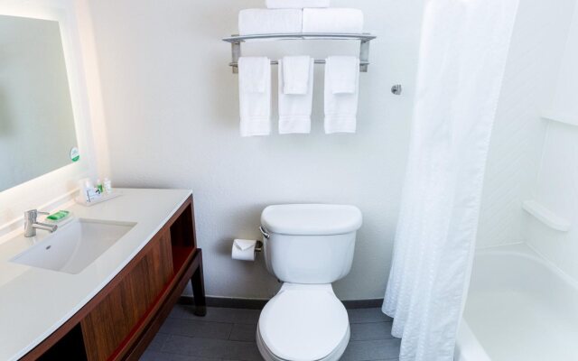 Holiday Inn Statesboro-University Area by IHG