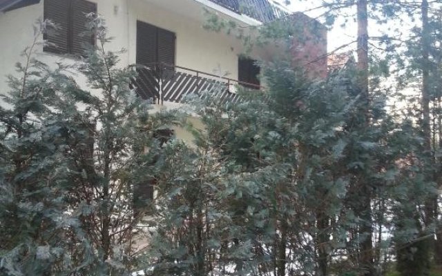 Apartment 9 Gorska Vila