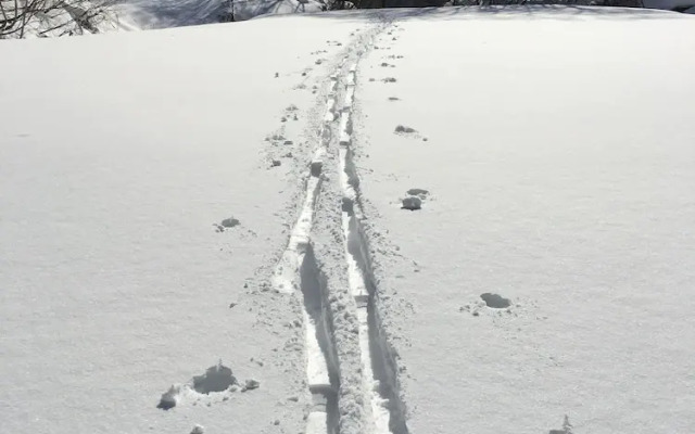Villa Antelope Hakuba