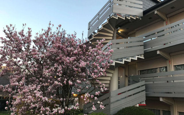 Campanile NATURE - Cergy Pontoise