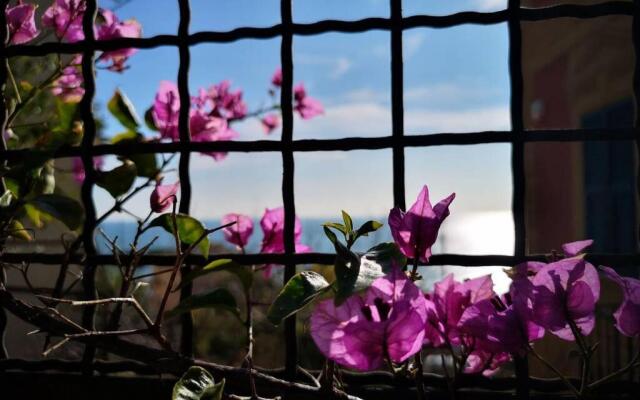 La Casa di Milly