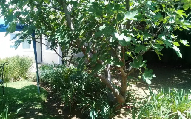 La Coscello Guest House