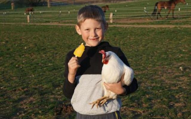 Freizeit Reitstall Schammelsdorf