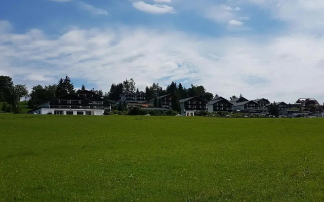 Dachsteinblick