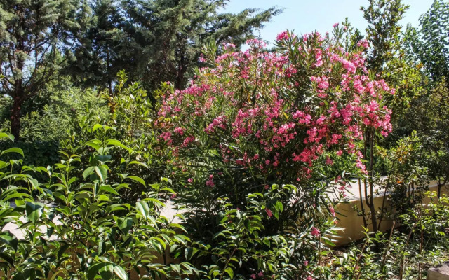 Nireas Resort Corfu