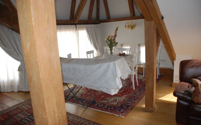 Luxury Apartments Tgm Karlovy Vary