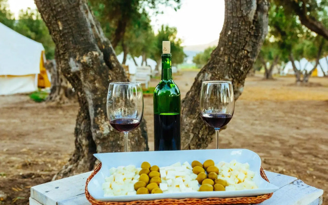 Guadalupe Valle Glamping