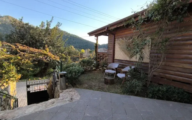 Pasha Bungalovs