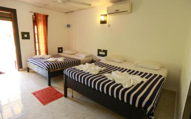 Eco Hotel Black & White - Anuradhapura