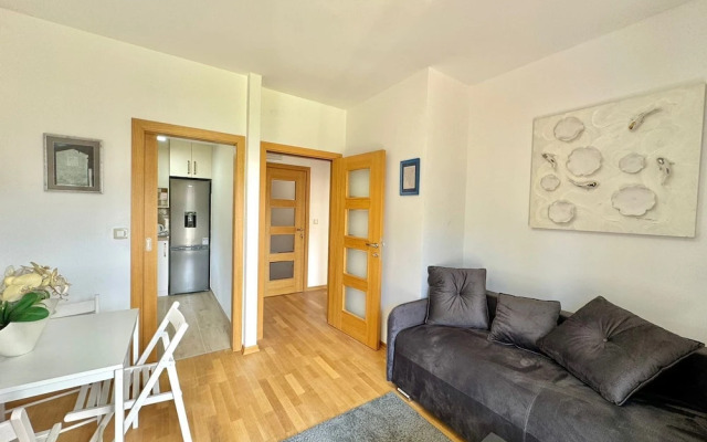 Central apartments Surina