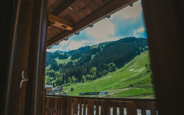 Hôtel Les Grangettes