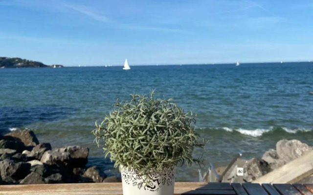 Les Hauts de Biantenia Avec Wifi