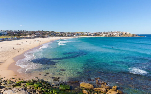 Cozy Suite Block Away To Bondi Beach