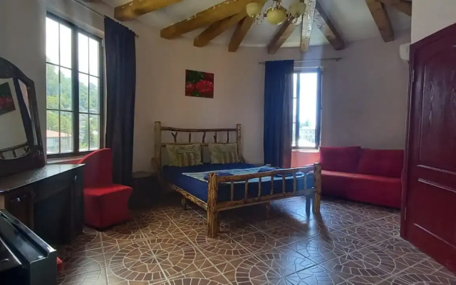 Абхазия мини-гостиница (Гагра)