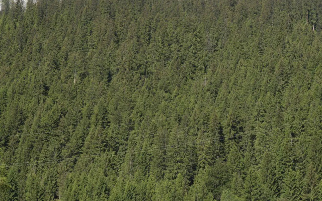 Sport-Lodge Klosters