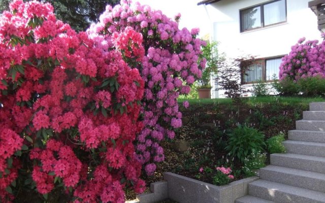 4-Sterne Wohnung im Erdgeschoss
